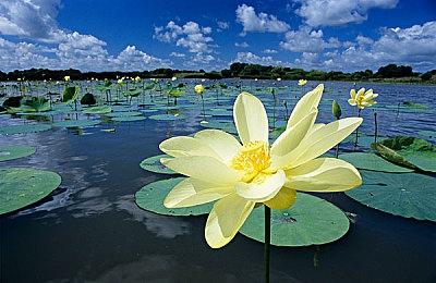 《红霞岛》将拥有开发商Arkane有史以来最大的地图