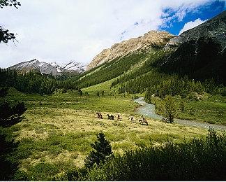 2D风格动作冒险游戏《神的超级大宝贝》已推出试玩Demo 预计9月6日发售